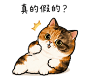 855752168