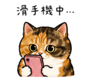 855752188