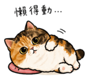 855752191
