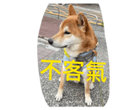 855752814