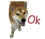 855752817