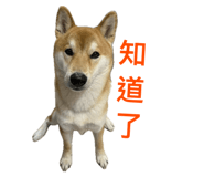 855752821