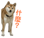 855752830