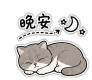 855754125