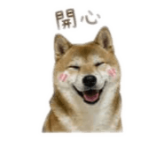 855755548