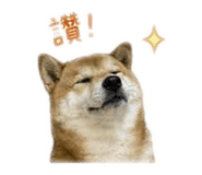 855755550