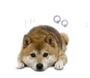 855755552