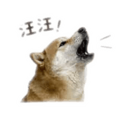 855755553