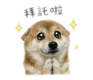 855755557