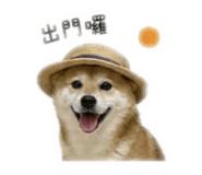 855755559