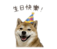 855755560