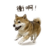 855755563