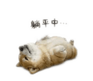 855755566