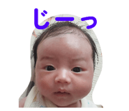 855755606