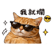 855757589
