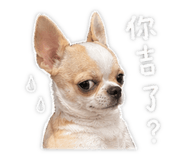 855758069