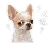 855758082