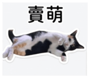 855758644