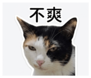855758648