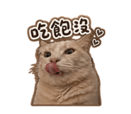 855758996
