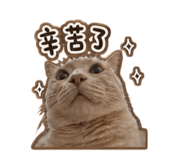 855758997