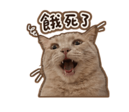 855758998