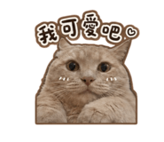 855758999