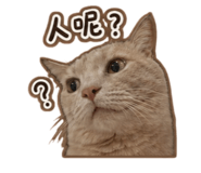 855759000