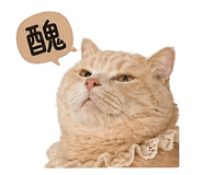 855759008