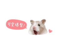855760769
