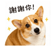 855761219