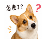 855761226