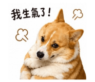 855761231