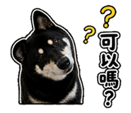 855761425