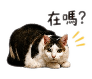855761450