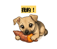 855762516