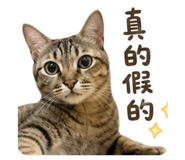 855762835