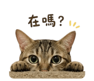 855762846