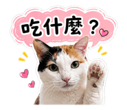 855764314