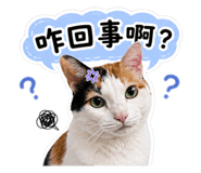 855764320