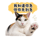 855764325