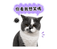 855764330