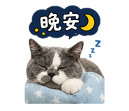 855764342