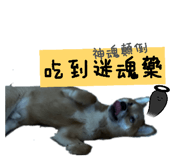 855764891