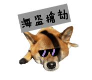 855764893