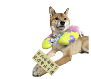 855764894
