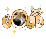 855764898