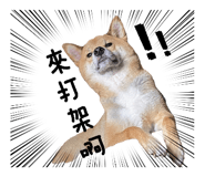855764910