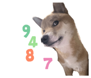 855764918