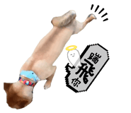 855764922